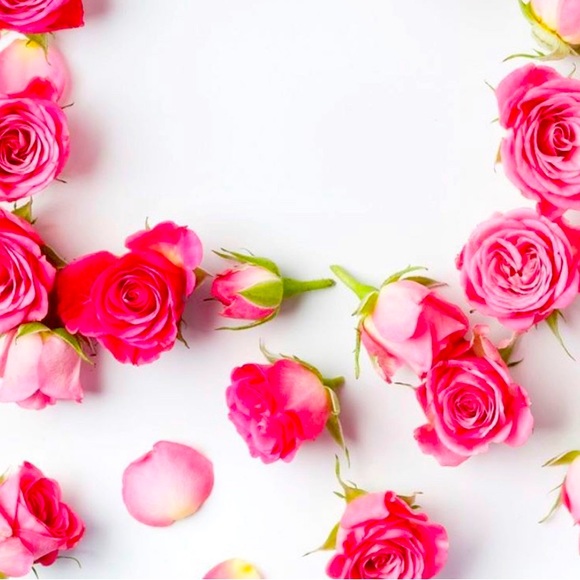 Meet your Posher, Nikita - Picture 1 of 1